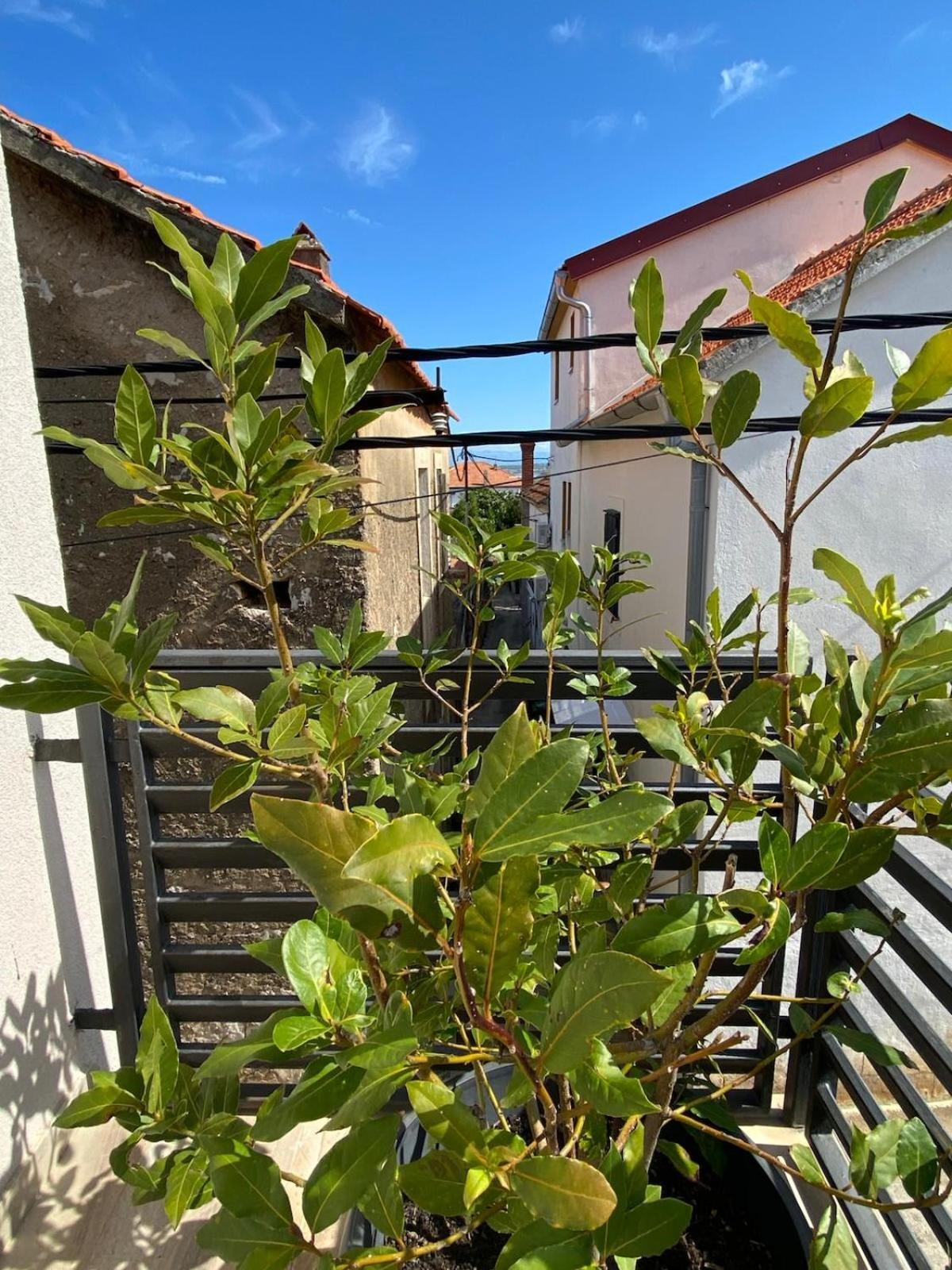 Casa Calle Kali
